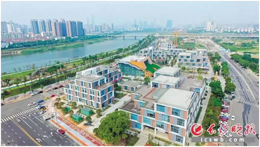 瞪羚企业总数,瞪羚企业数量排行城市