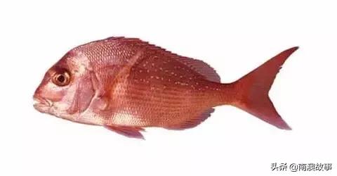 潮汕海鲜大全带图片,十大最好海鲜鱼
