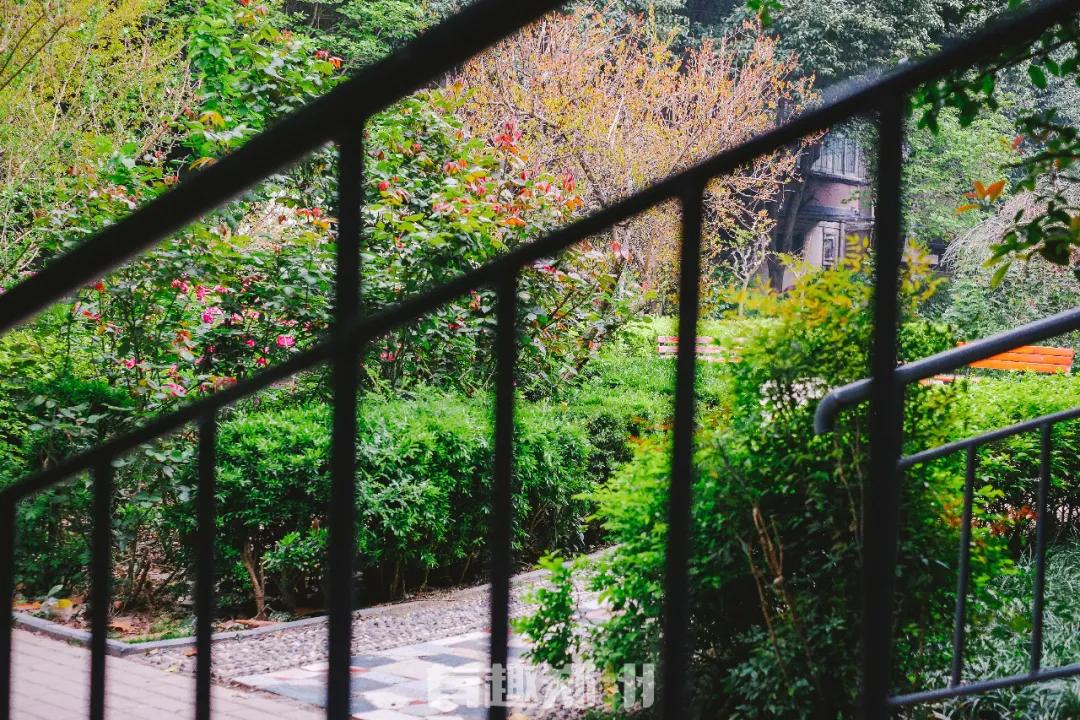 春雨落在叶子上,春雨落在树叶上的详细描写