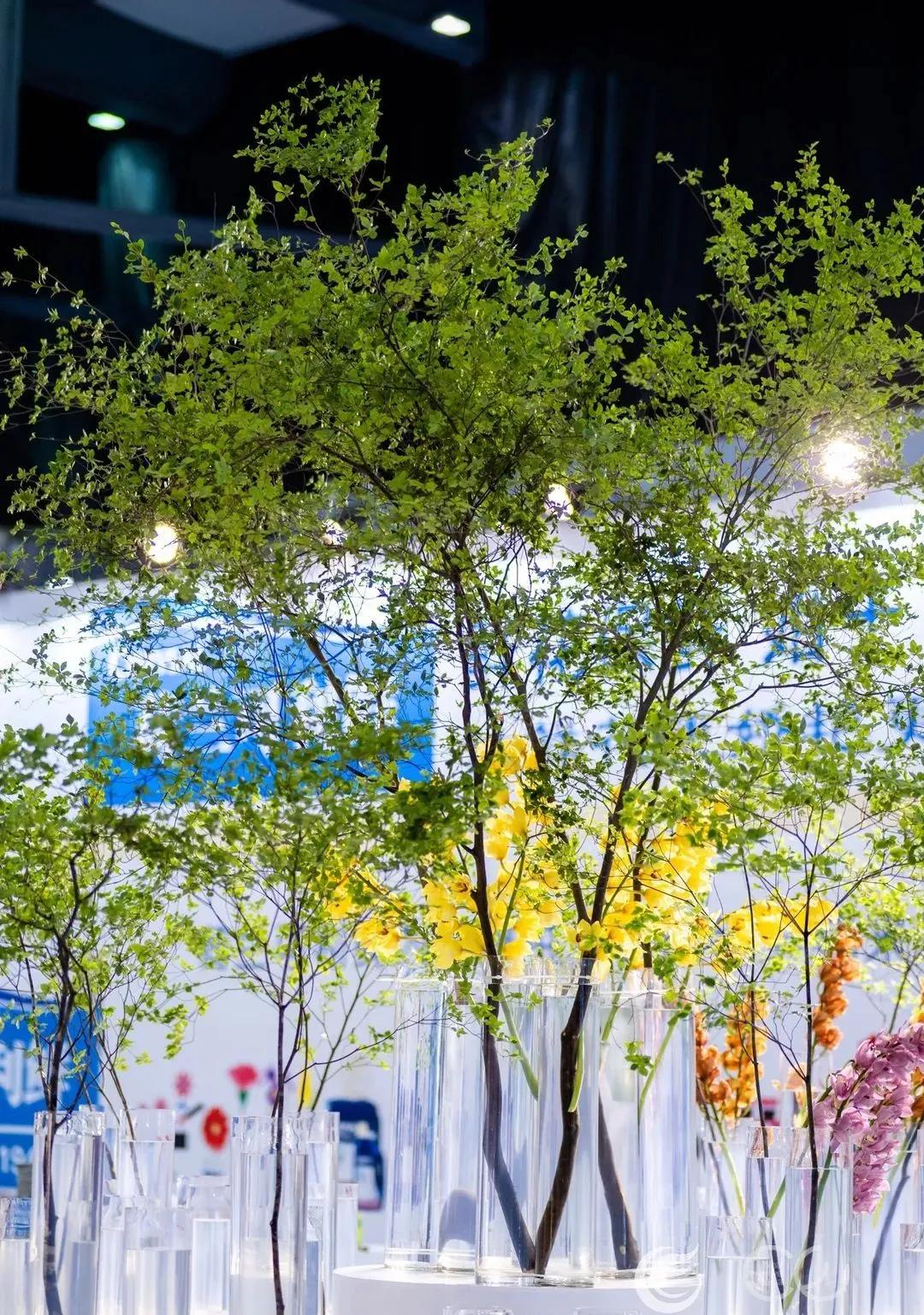 人如云，花似锦！第21届“零交会”今日开幕，“最美花展”惊艳亮相