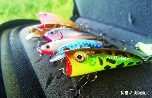 路亚钓马口的技巧和方法,怎样才能钓马口钓得多又快