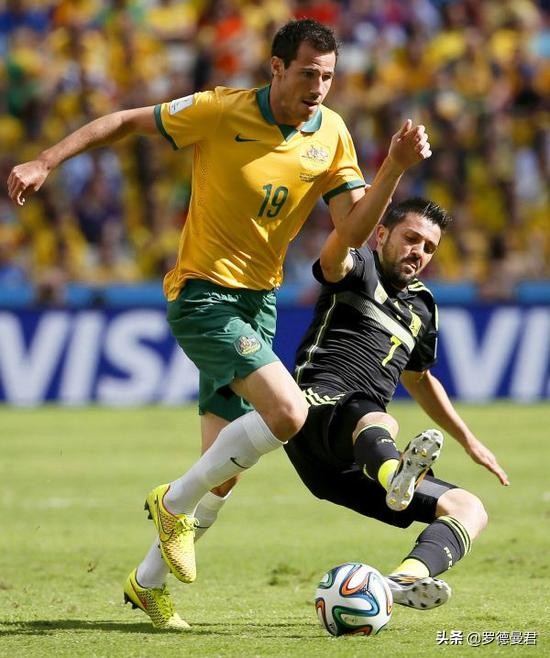 世界足坛五大神兽,世界十大威猛动物