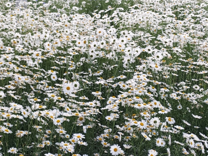 风景优美闲暇好去处,下班休闲好去处