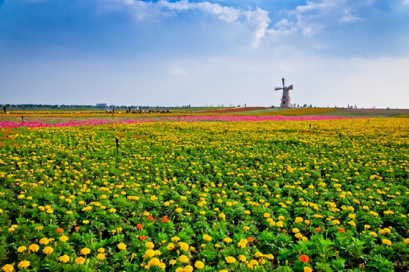 安徽的一个县,曾是全国人口第二大县,如今常住人口约166万