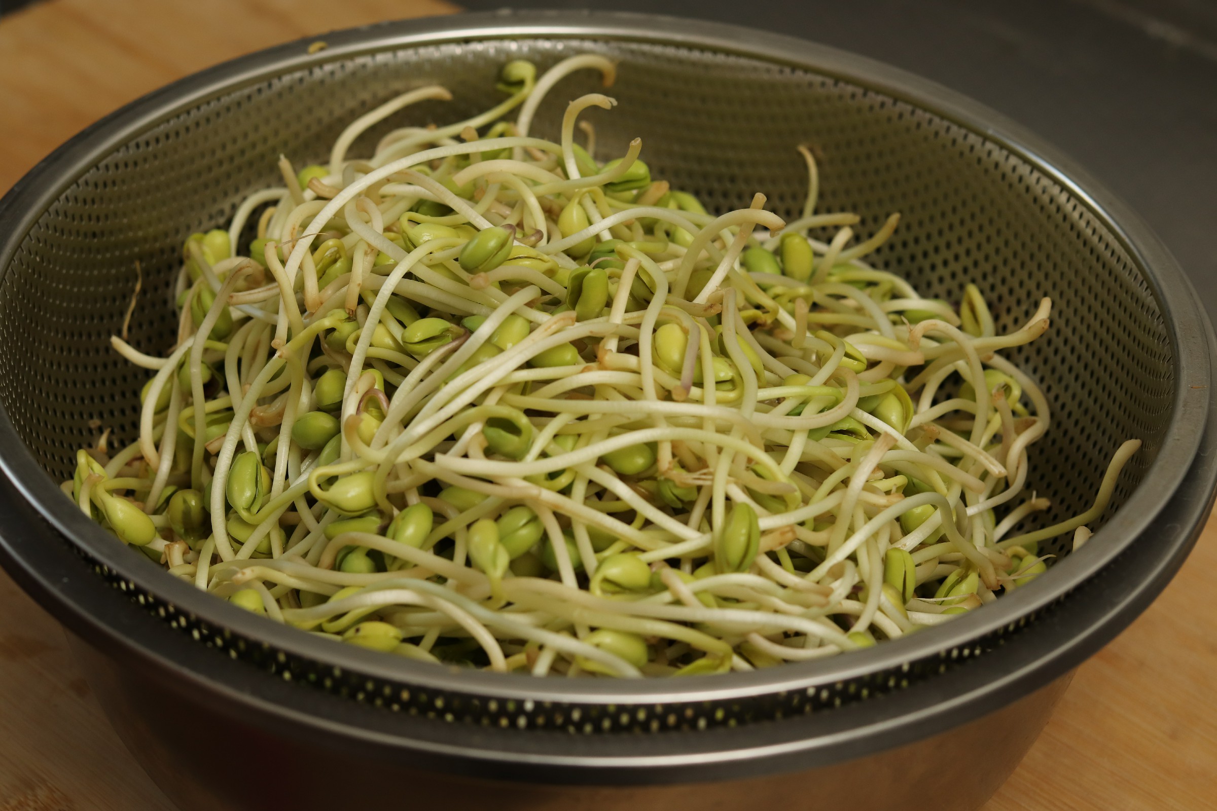 豆芽怎么在土壤里发芽,不用胶水就可以发豆芽的方法