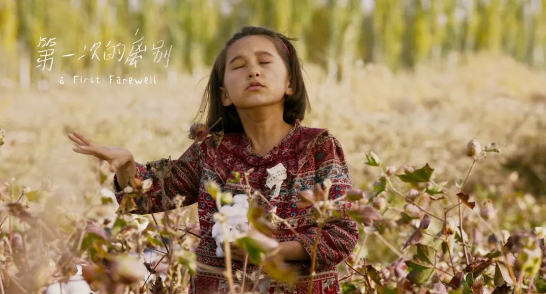 2020年华语电影大有看头,2020华语评分最高电影