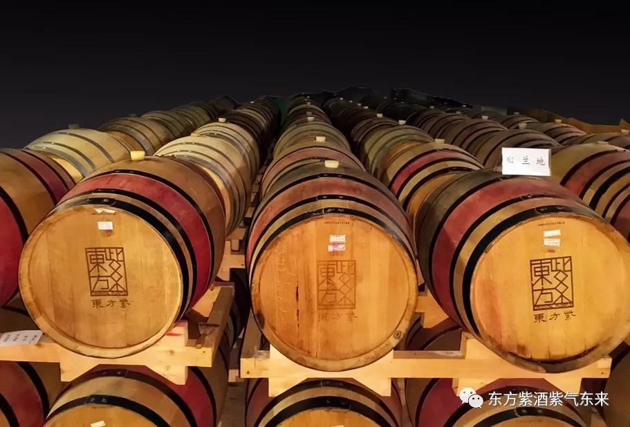 传承桑氏家族文化,传承传统文化彰显蚕桑魅力美篇