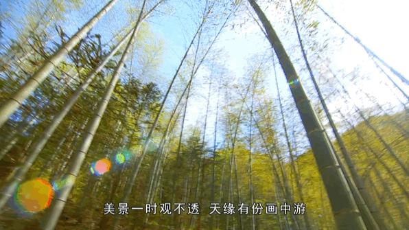 红色“吕”行，畅游溪口！