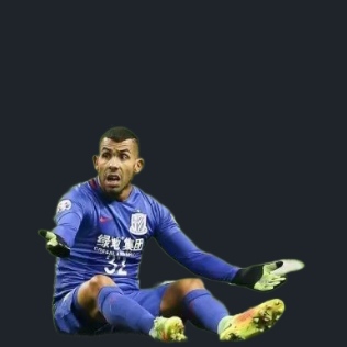 野兽特维斯年薪,野兽特维斯生涯