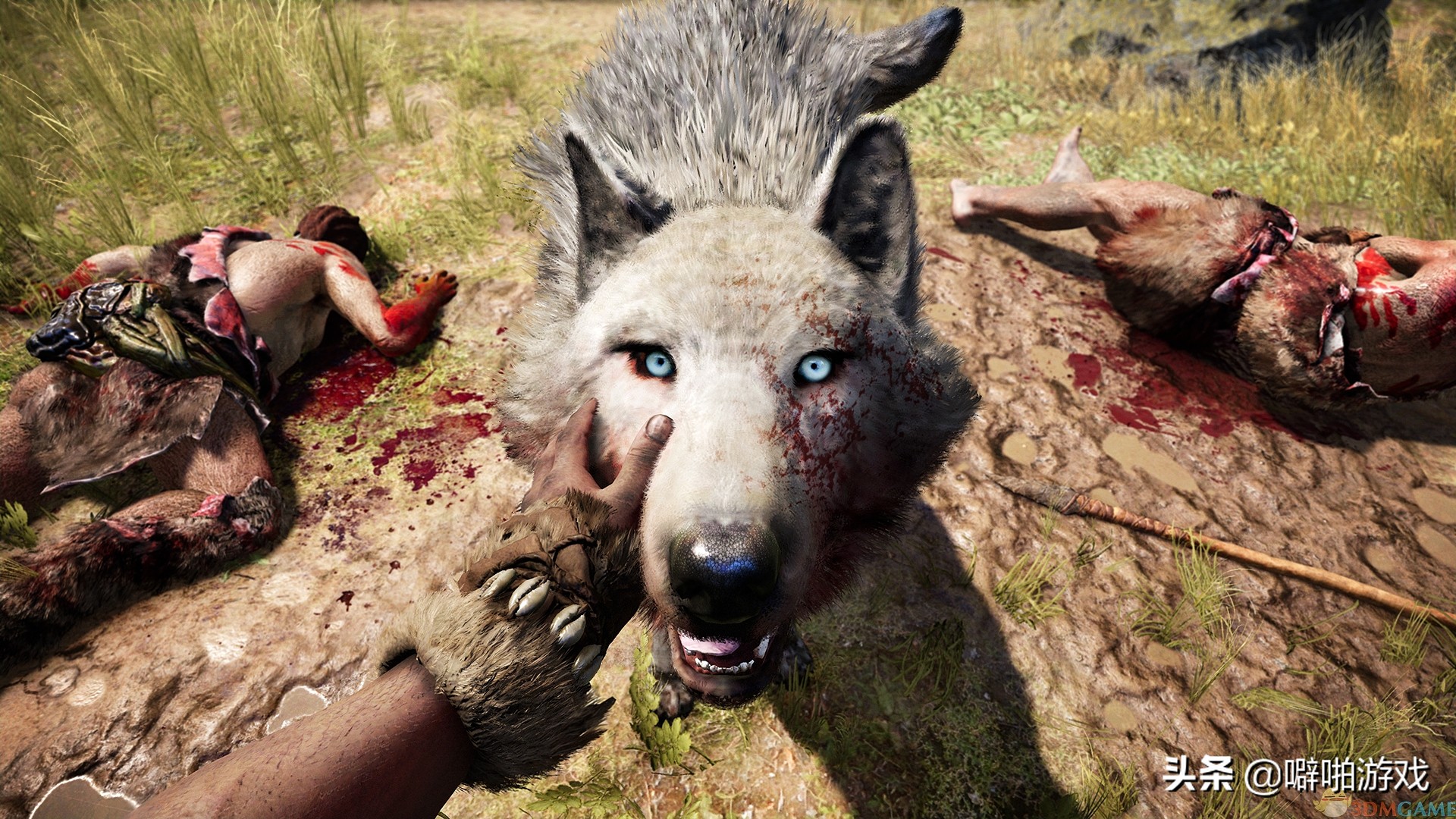 低配置能玩的原神类游戏,神优化免费游戏