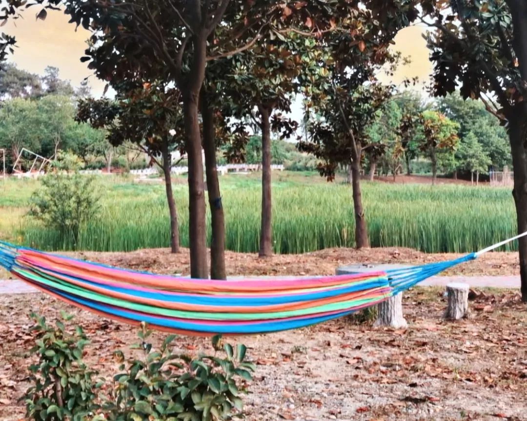 紫薇园宿州露营音乐节,中华紫薇园露营