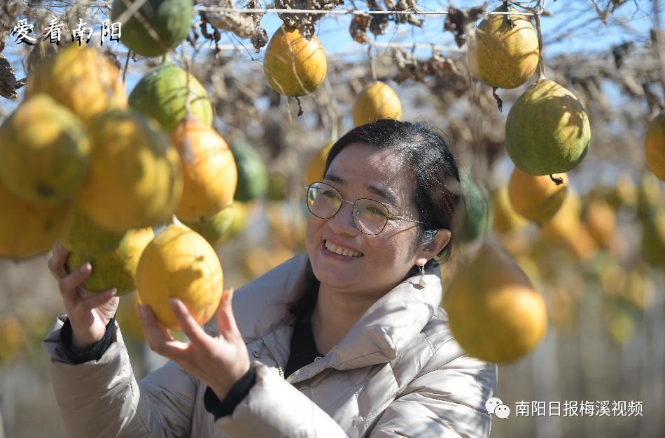 爱看南阳㉘初冬·暖阳依旧