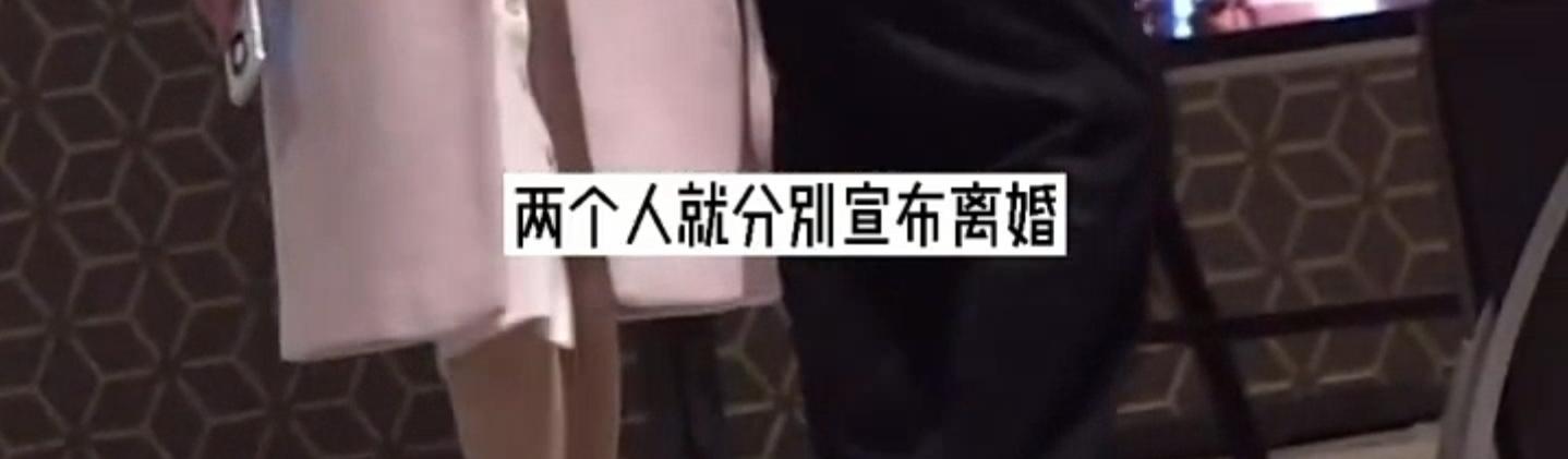 孙红雷与左小青恋爱过吗,陈道明左小青孙红雷