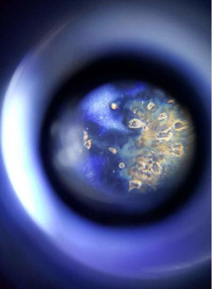 元青花白浒窑特征与鉴定方法,元青花鉴定五大要点