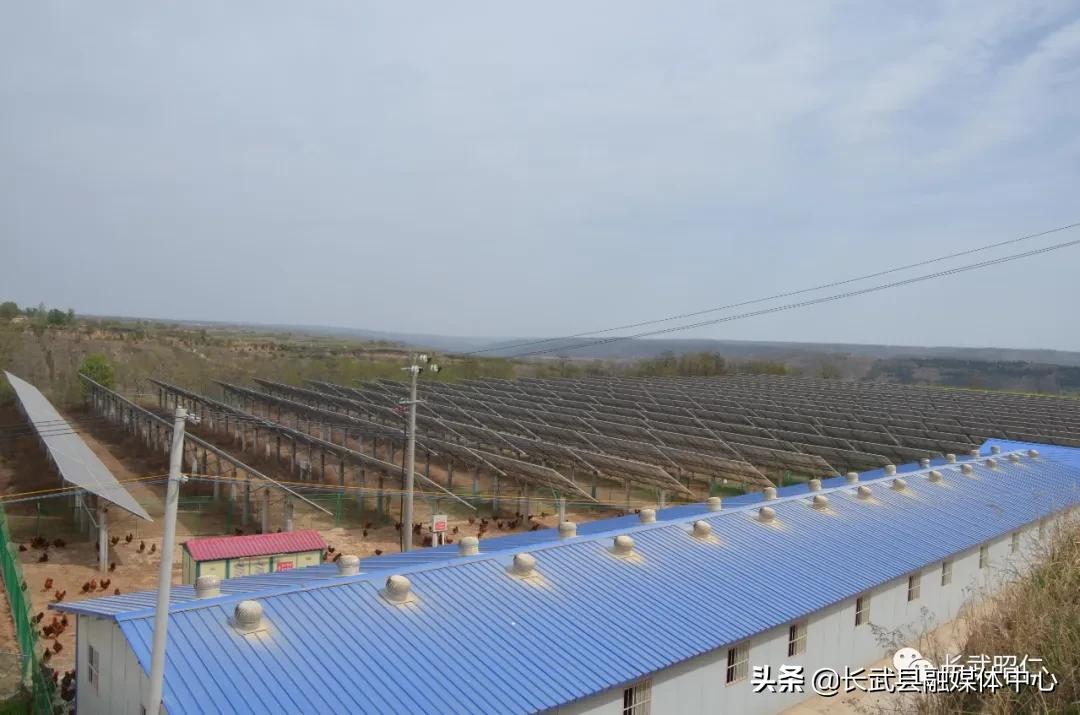 香椿炒鸡蛋的营养价值,冻过的香椿怎样炒鸡蛋