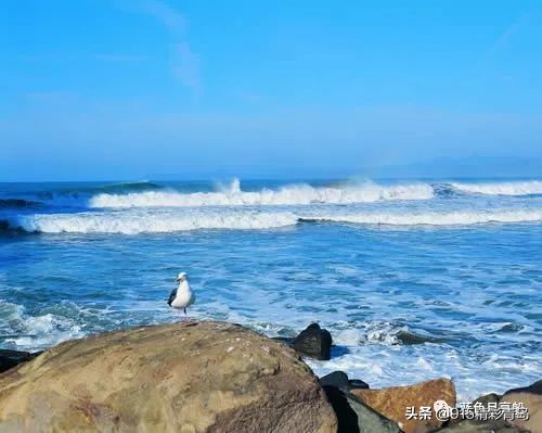 青岛崂山工艺品厂,青岛宏达草编工艺品厂