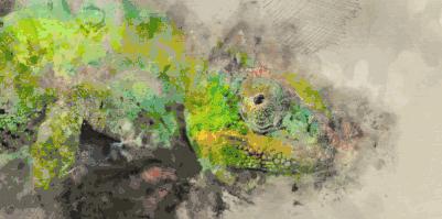 ae不用插件做出插件效果,ae插件三维变形插件教程