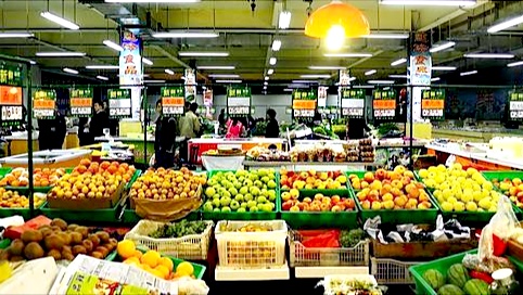 种植致富路有哪些项目,种植新模式及利润分析