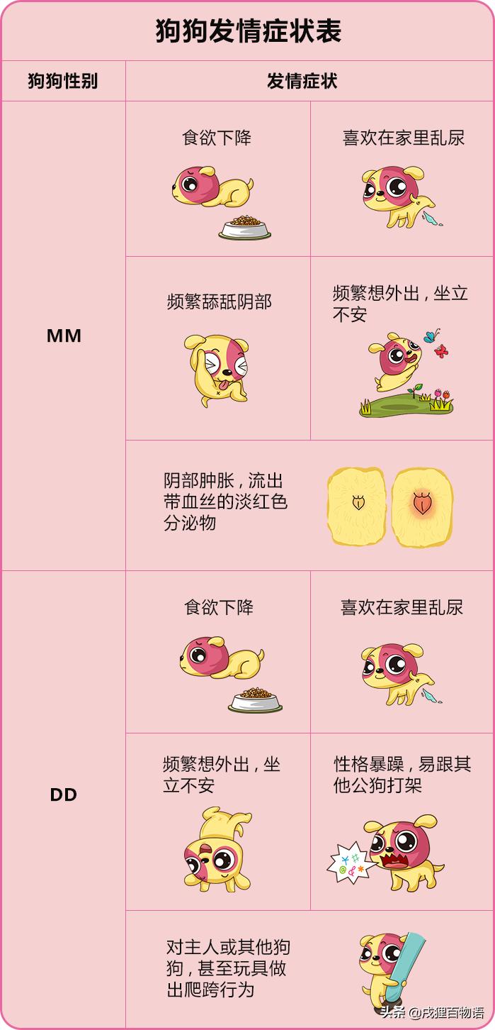 家里的宠物发情了怎么办,家里的宠物发情了怎么跟孩子解释