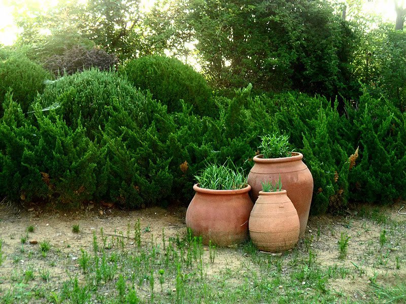 从造园料理到造园建筑,园林陶罐布置