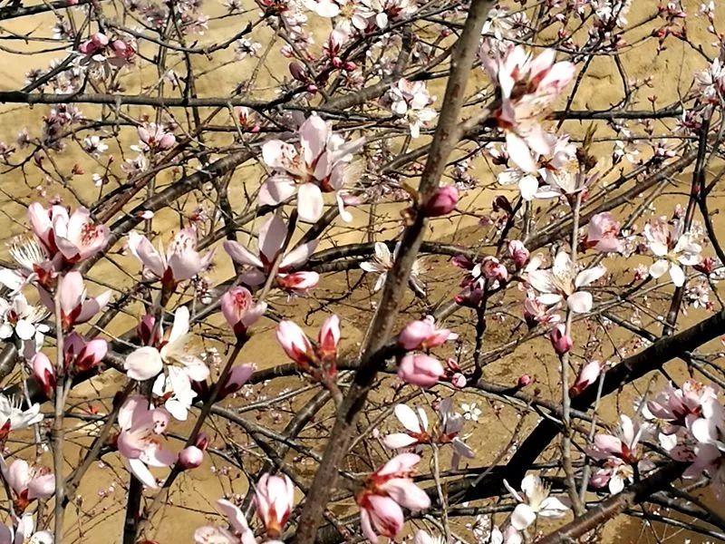 晋城司徒小镇异域风情,晋城皇城相府和司徒小镇