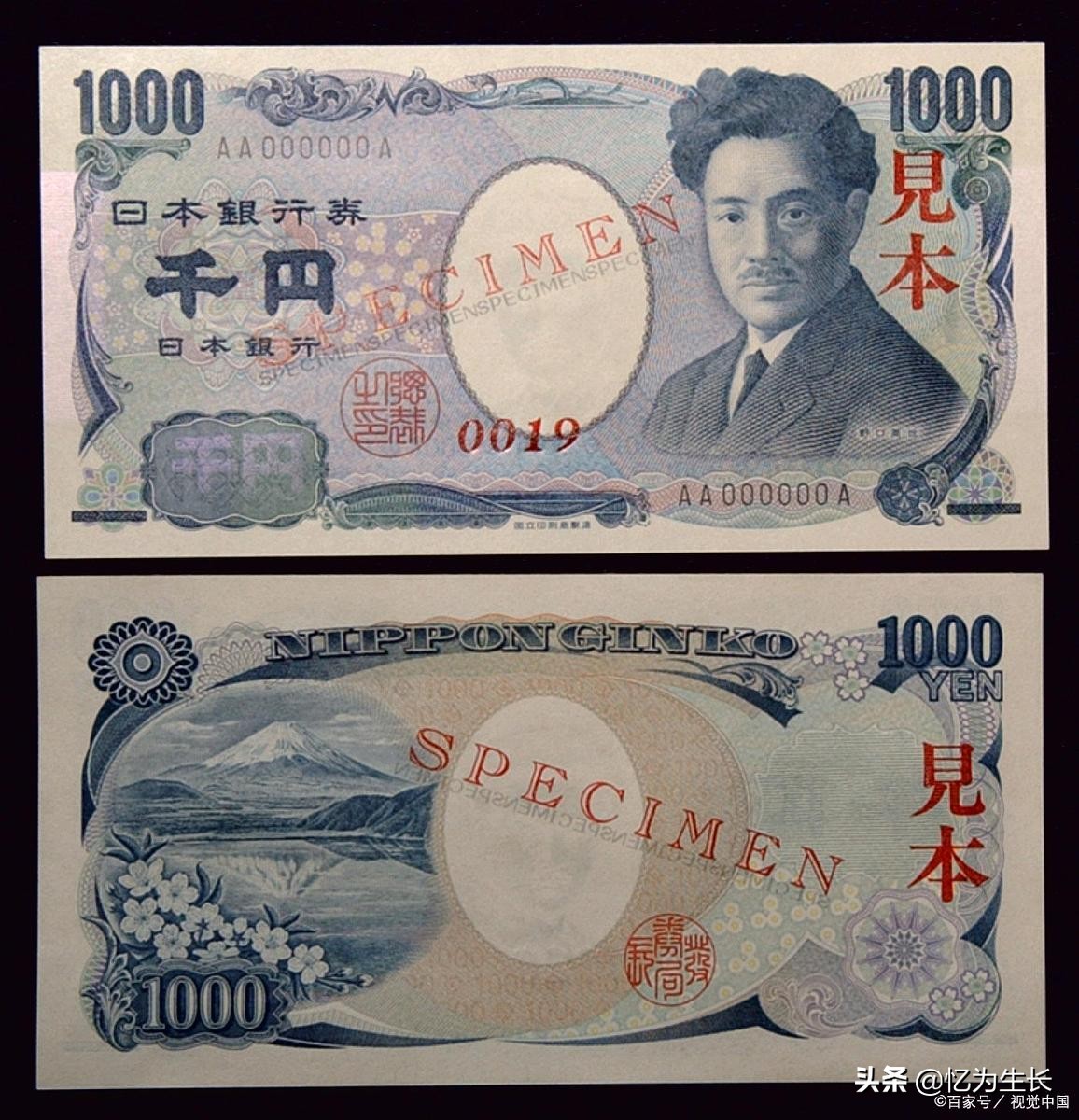 鲁迅爱读书的故事读后感,鲁迅爱读书的阅读理解