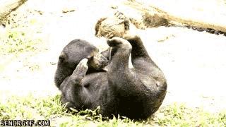 蜂蜜里掺了果葡糖浆如何鉴别,鉴别俄罗斯蜂蜜最简单的方法