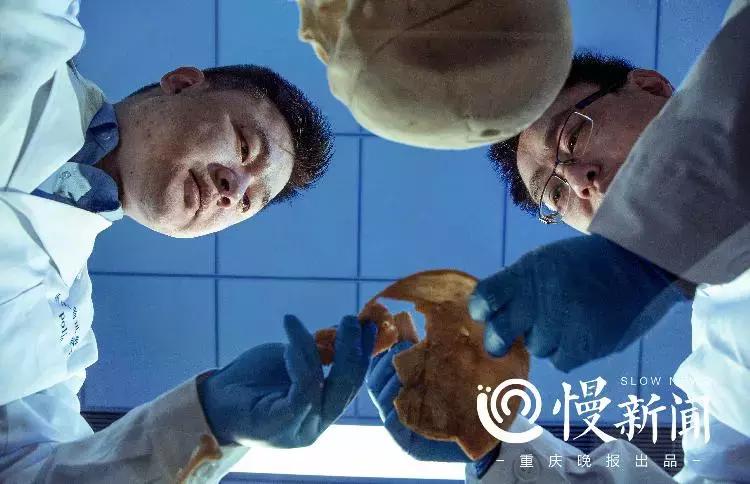 10部好看的法医悬疑电影,2022年度10部好看的法医悬疑电视剧