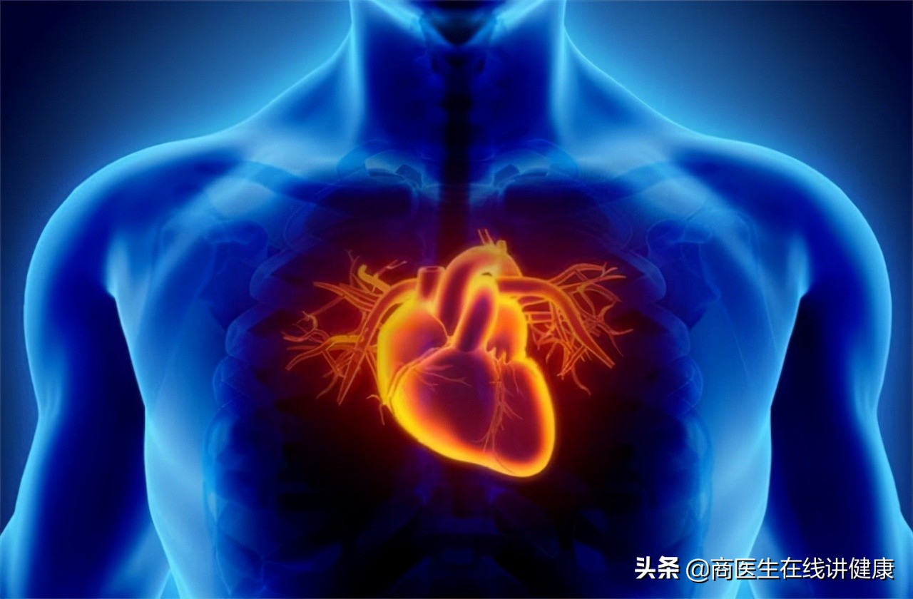 心跳越慢越长寿减少剧烈运动,心跳越慢人会更长寿