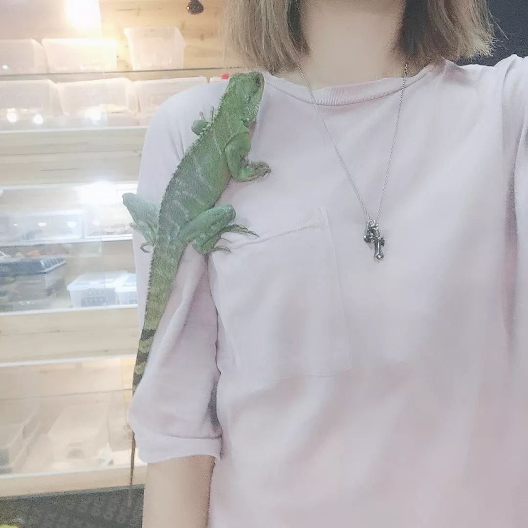 一只鸭子一万五元,一只鸭子一万多