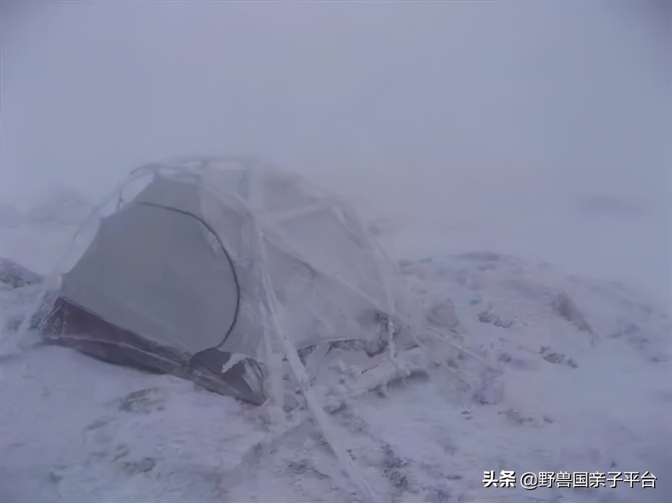 春游在即亲子露营攻略干货奉上,适合亲子的露营装备