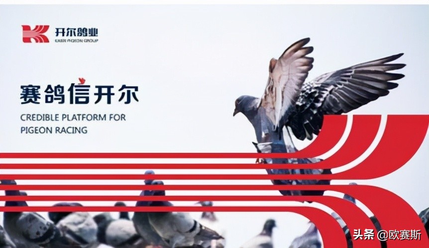 品牌战略*局破**必备的七种*器武**