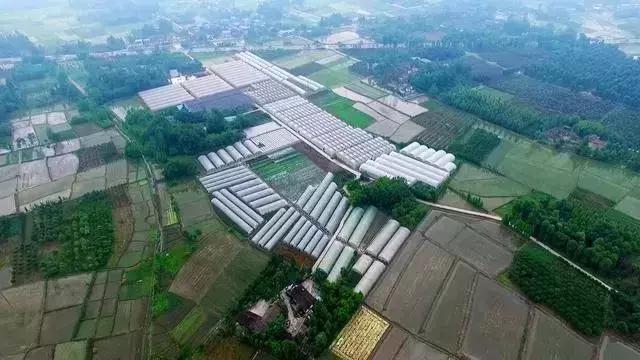 田园综合体的温室大棚，怎么做更有价值