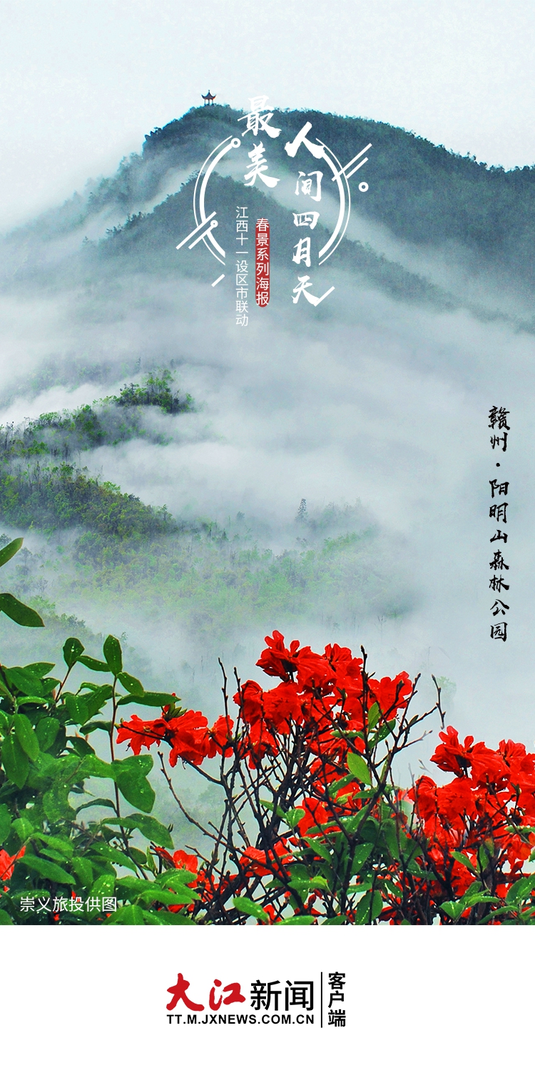 春色满园景色高清图片,赣鄱大地铺满春色