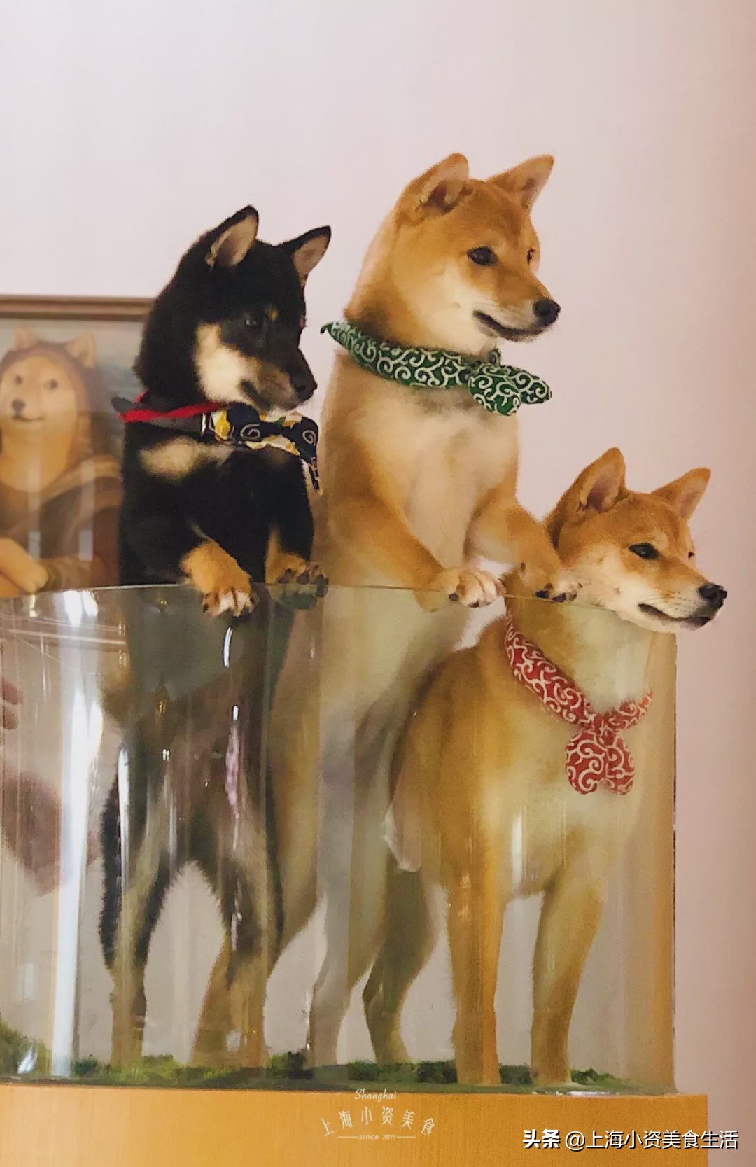 在上海只需要做三件事,在魔都必做的50件事