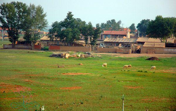 四子王旗乌兰花镇最新消息,四子王旗乌兰花最新情况