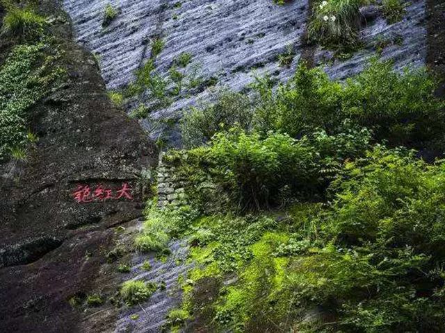 中国十大贵的茶叶,中国最贵十种茶