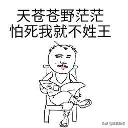 十万预算买日产车,十万买天籁二手