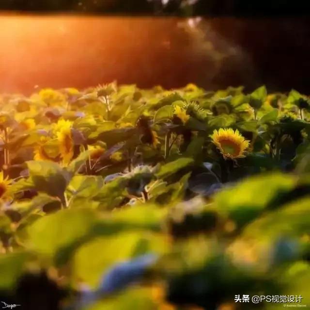 日常照片后期一定要用ps吗,摄影后期修图用ps什么版本