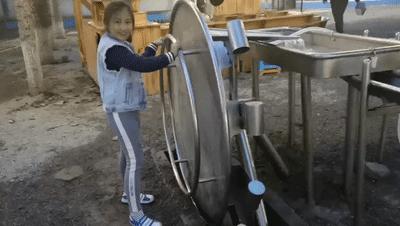 北京五环内新开萌宠乐园,除了喂动物,还能玩大滑梯、免费享帐篷