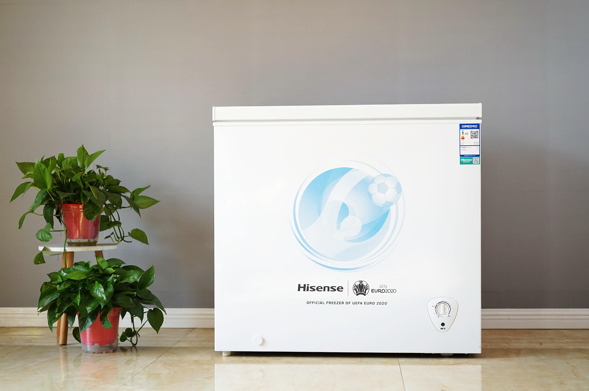 海信bc-100s微冻室能冻冰棍吗,海信冰柜209跟301的区别