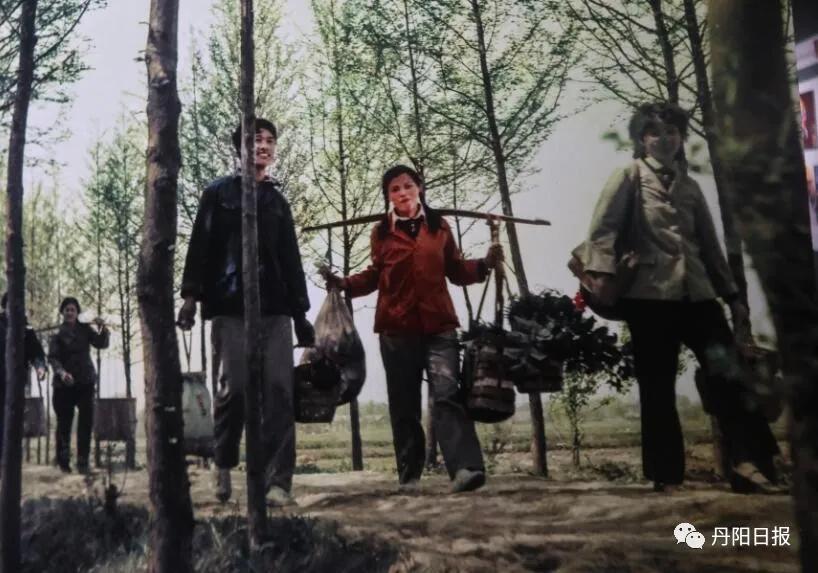 酸了！来看看丹阳人如何“秀恩爱”……