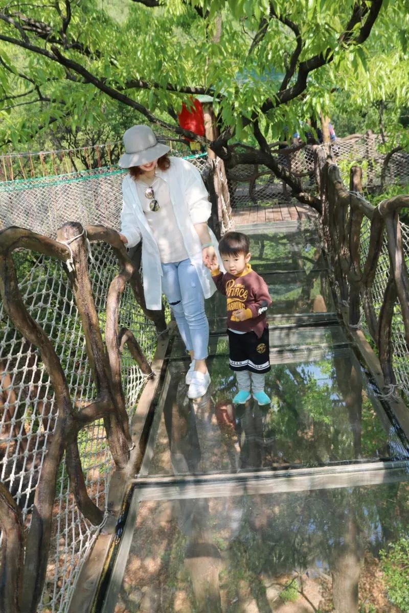 抱犊崮门票半价政策,中考生福利重庆