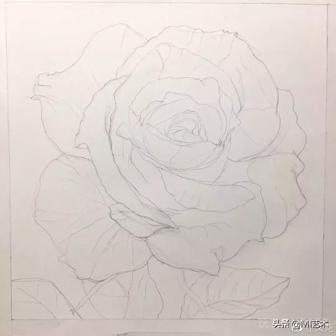 玫瑰花素描临摹高清图片,素描教程画花朵