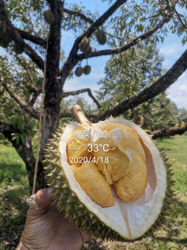 水果店相对微商有什么优势,为什么水果店那么难做起来