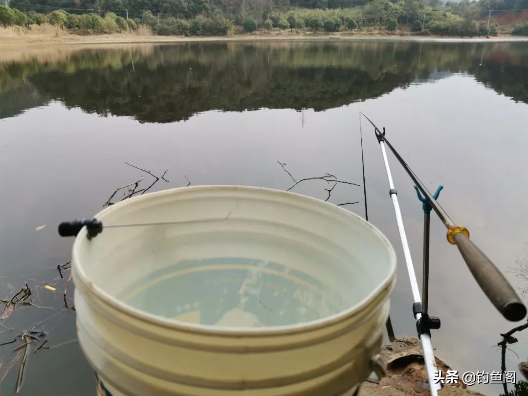 钓鱼中草药配方秘方,钓鱼最佳配方与技巧