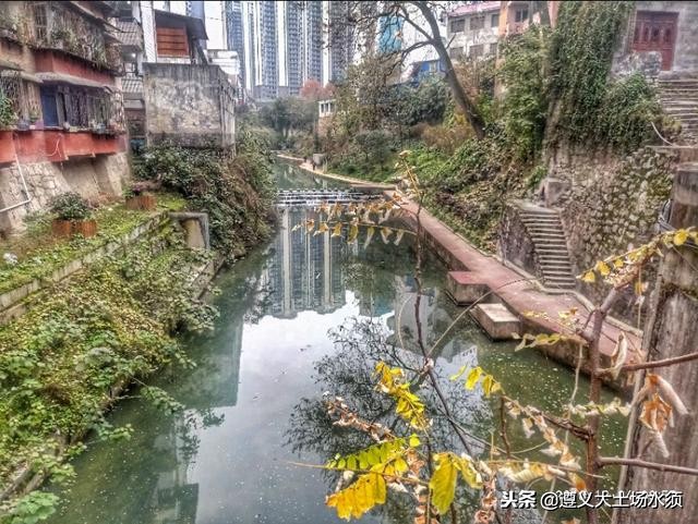 在冬天里看遵义湘江河上的秋色