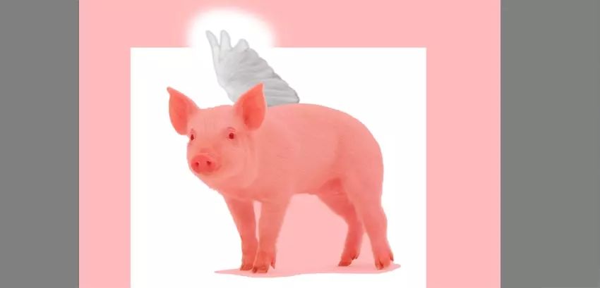 ps小猪怎么做,ps怎么合成驴子