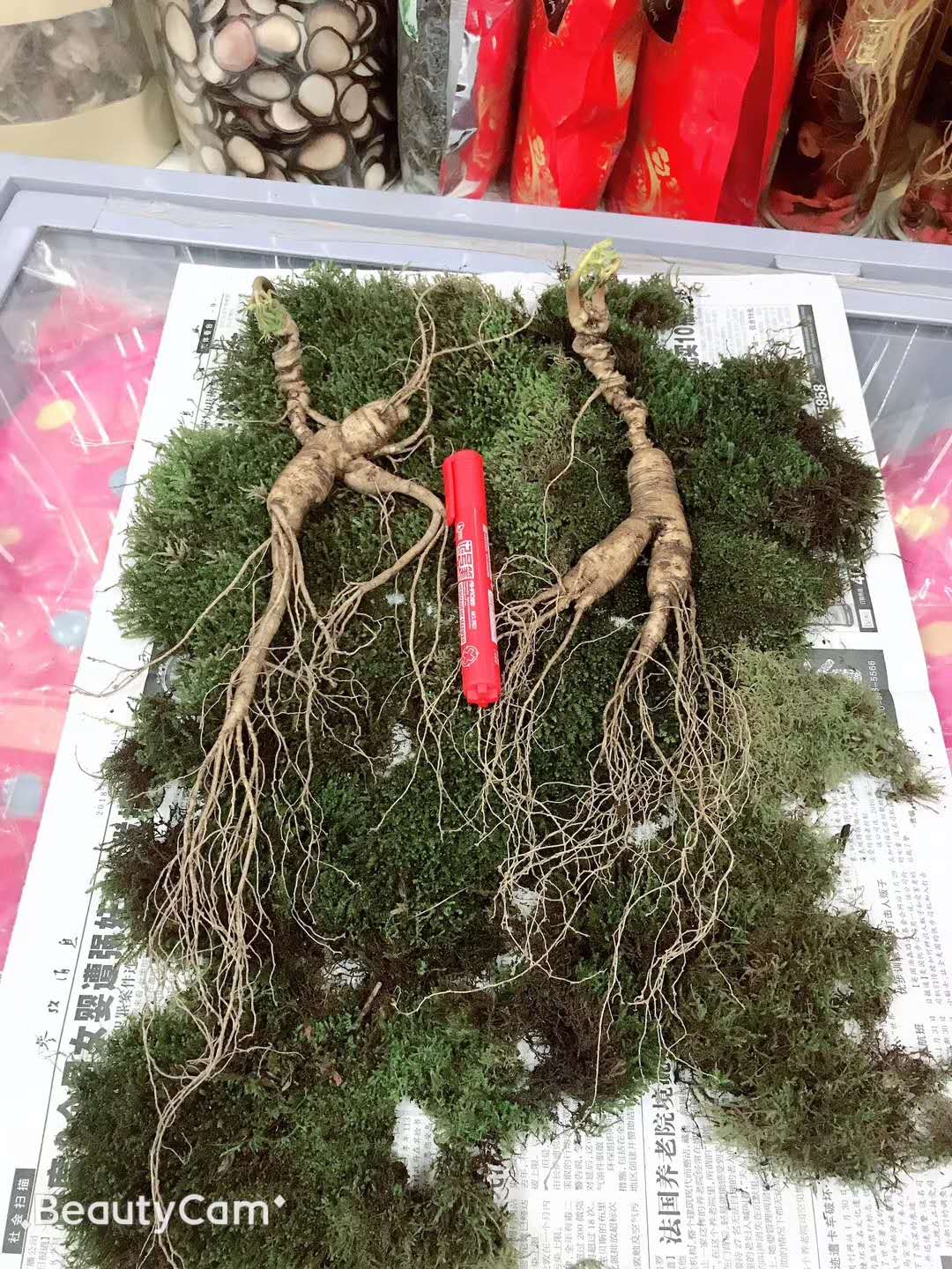 人参、鹿茸、鹿鞭、灵芝、枸杞怎样泡酒效果最好？