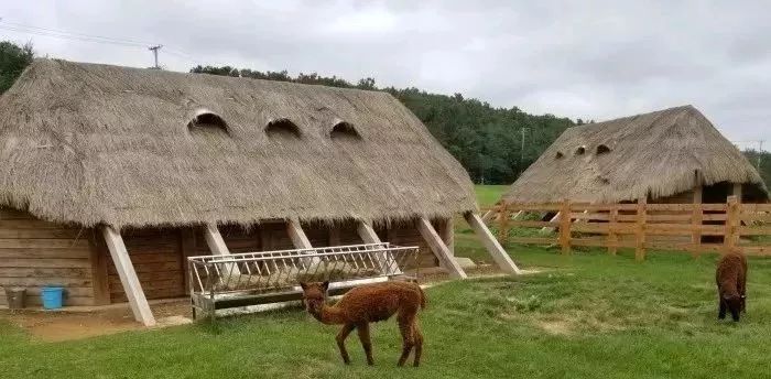 大连重阳节旅游攻略,大连九月秋游攻略